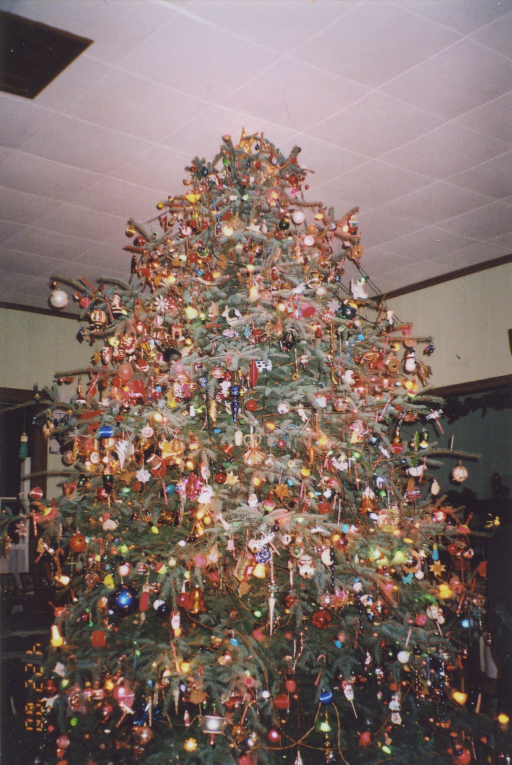 Christmas At The Museum 2009