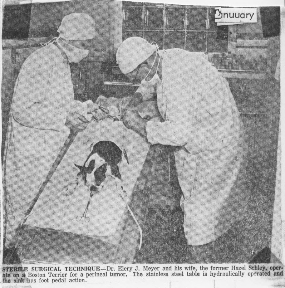 Doctor Elery J. Meyer Veterinary&nbsp;Article